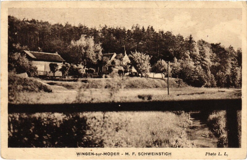 Carte postale ancienne Wingen-sur-Moder M.F. Schweinstich à Wingen