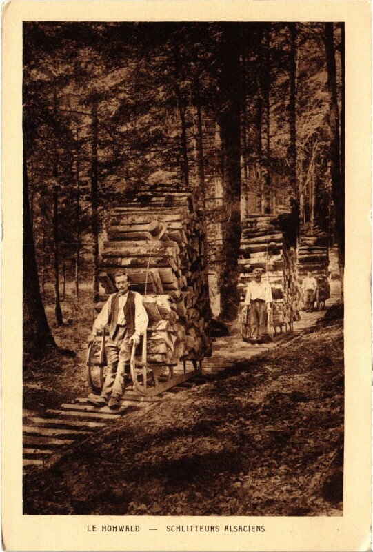 Carte postale ancienne Le Hohwald Schlitteurs alsacien Folklore au Hohwald