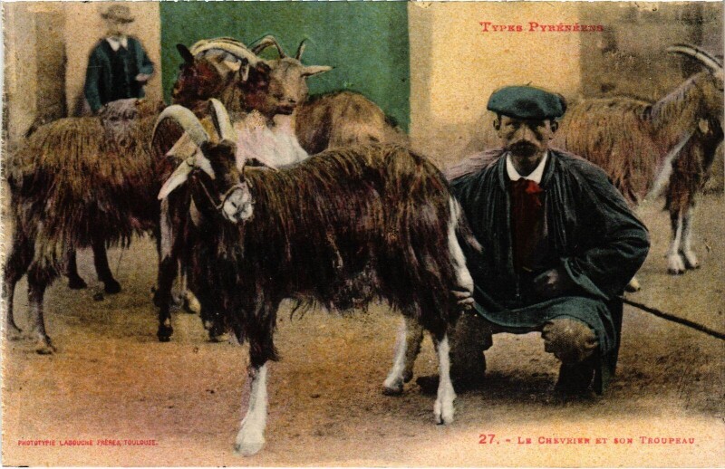 Carte postale ancienne Pyrénées Le Chevrier et son troupeau Folklore