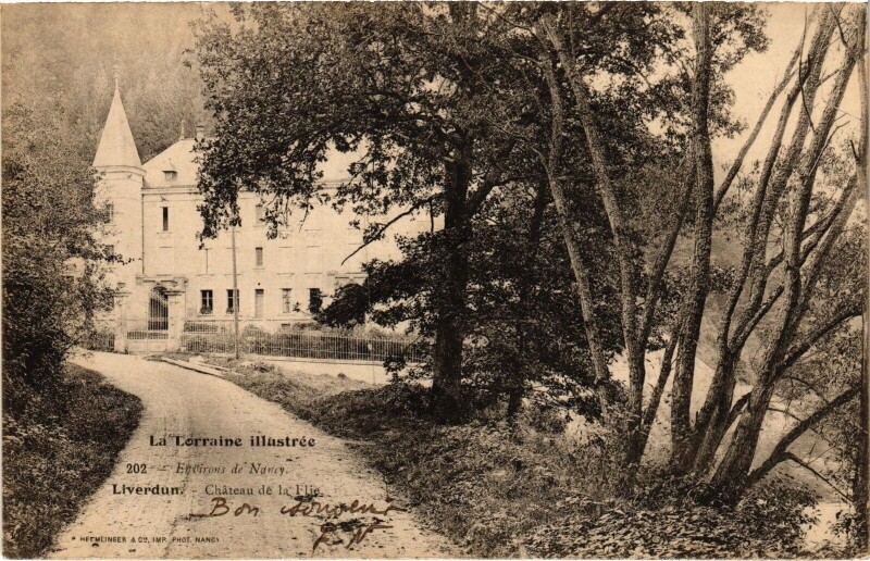 Carte postale ancienne Liverdun Le Chateau de la Flie à Liverdun