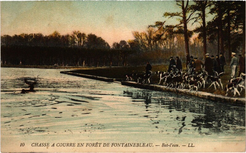 Carte postale ancienne Foret de Fontainebleau Chasse a courre bat-l'eau Hunting à Fontainebleau