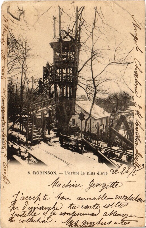 Carte postale ancienne Robinson Arbre