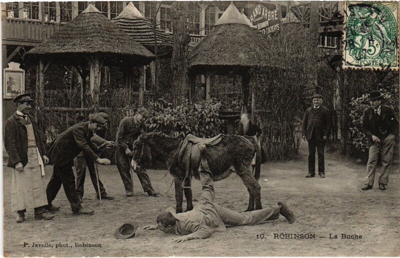 Carte postale ancienne Robinson La Buche