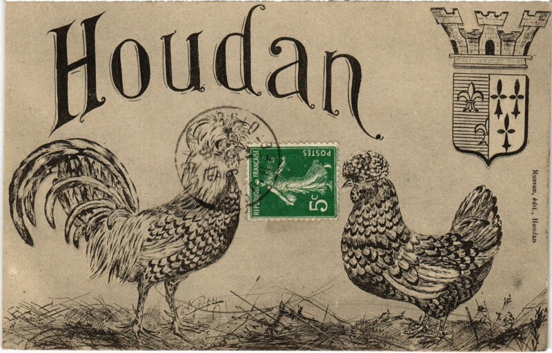Carte postale ancienne Houdan Crest - Roosters à Houdan