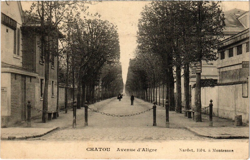 Carte postale ancienne Chatou Avenue d'Aligre à Chatou