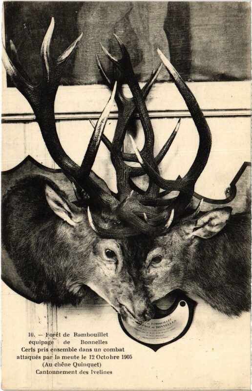 Carte postale ancienne Bonnelles Foret de Rambouillet Equipage de Bonnelles - Cerfs à Bonnelles
