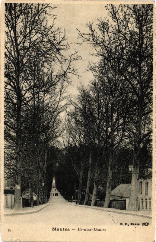 Carte postale ancienne Mantes-la-Jolie Ile aux Dames à Mantes-la-Jolie