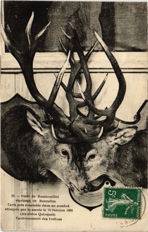 Carte postale ancienne Bonnelles Foret de Rambouillet Equipage de Bonnelles - Cerfs à Bonnelles