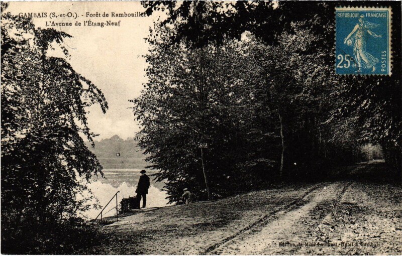 Carte postale ancienne Gambais Foret de Rambouillet - Avenue de l'Etang-Neuf à Gambais