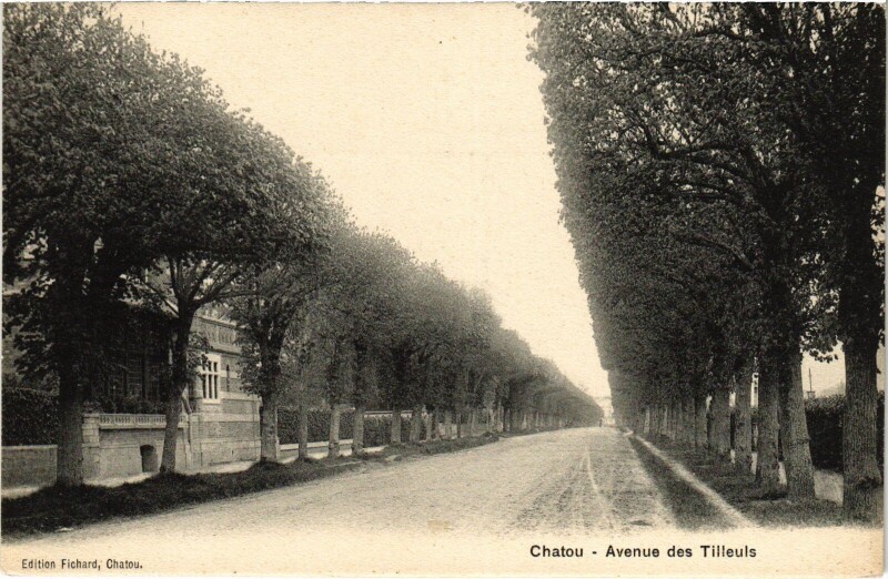 Carte postale ancienne Chatou Avenue des Tilleuls à Chatou