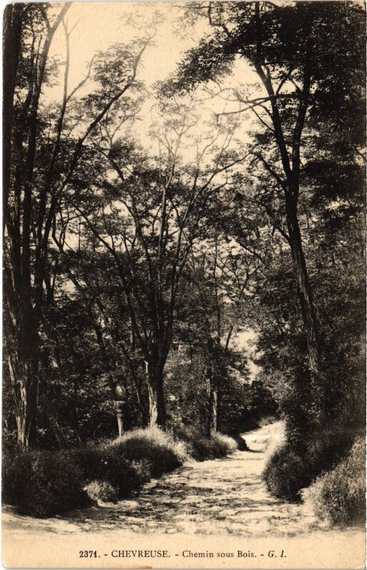 Carte postale ancienne Chevreuse Chemin Sous-Bois à Chevreuse