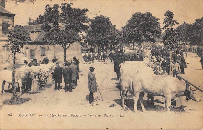 Carte postale ancienne Moulins - Le Marche Aux Boeufs - Cours De Bercy à Moulins