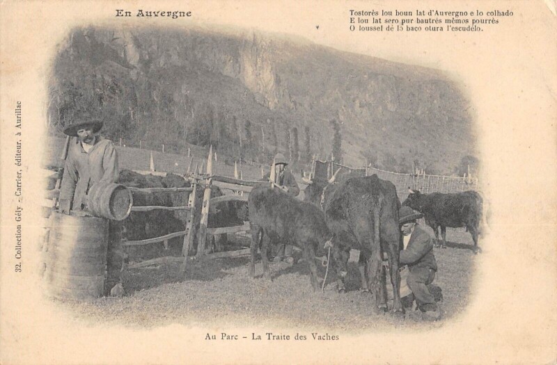 Carte postale ancienne Cantal - Au Parc - La Traite Des Vaches