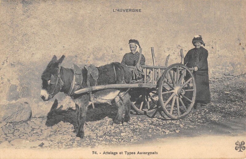 Carte postale ancienne Cantal - Attelage Et Types Auvergnats