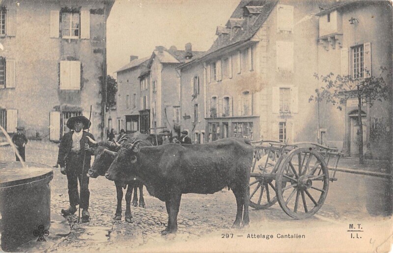 Carte postale ancienne Cantal - Attelage Cantalien