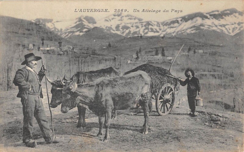 Carte postale ancienne Cantal - Attelage Du Pays