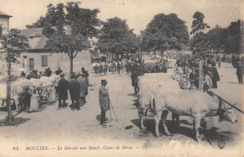 Carte postale ancienne Moulins - Marche Aux Boeufs - Cours De Bercy à Moulins