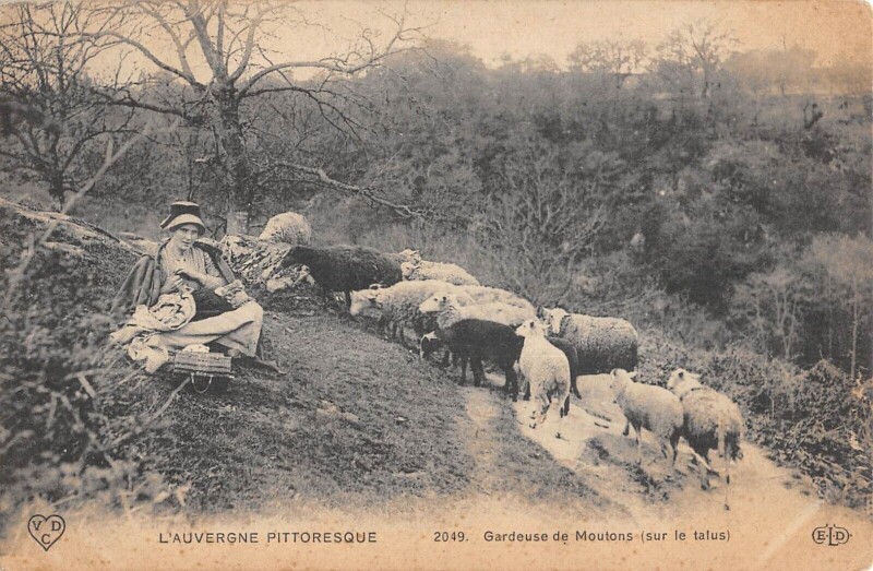 Carte postale ancienne Cantal - Gardeuse De Moutons - Sur Le Talus
