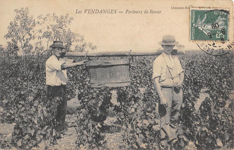 Carte postale ancienne Les Vendanges - Porteurs De Benne