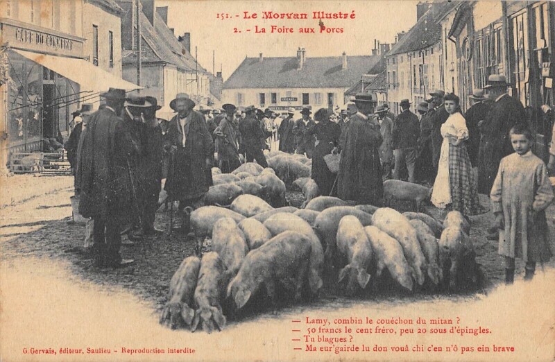Carte postale ancienne Le Morvan Illustre - La Foire Aux Porcs