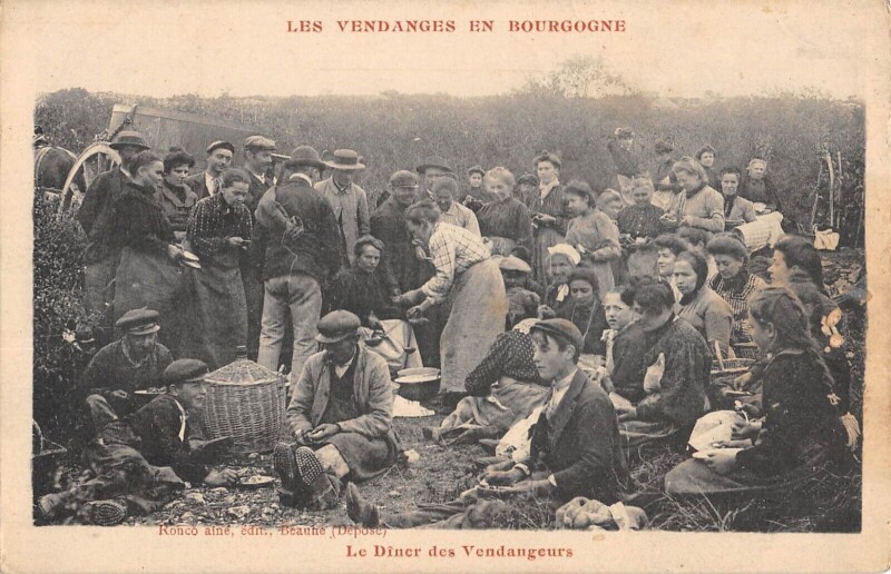Carte postale ancienne Les Vendanges En Bourgogne - Le Diner Des Vendangeurs