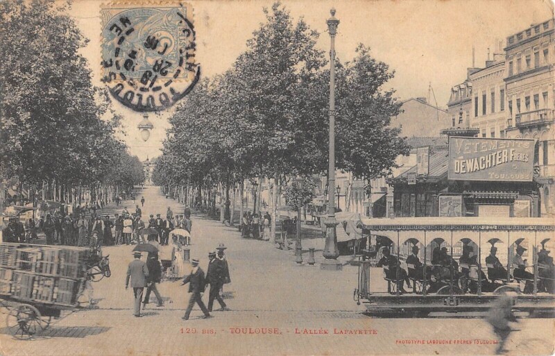 Carte postale ancienne Toulouse - L'Allee Lafayette à Toulouse