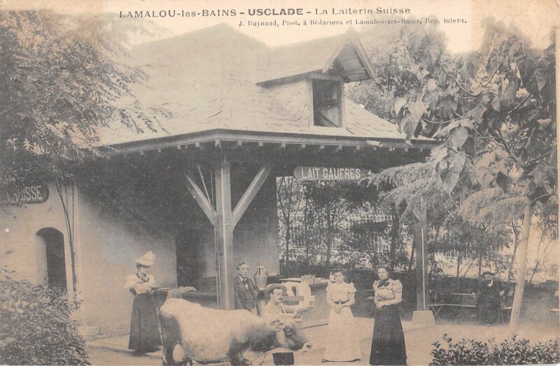 Carte postale ancienne Lamalou Les Bains - Usclade - La Laiterie Suisse - Vache à Lamalou-les-Bains