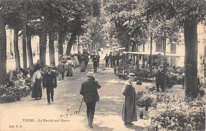 Carte postale ancienne Tours - Le Marche Aux Fleurs à Tours