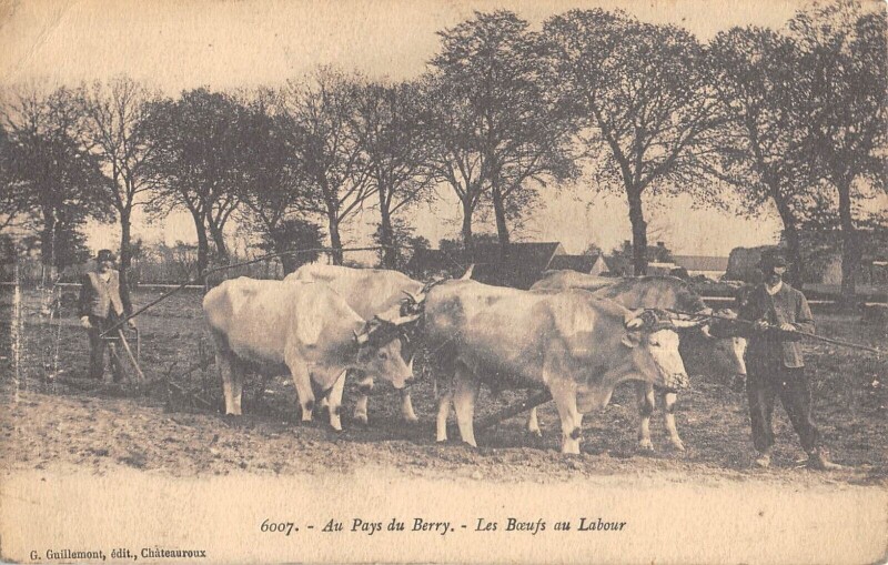 Carte postale ancienne Au Pays Du Berry - Les Boeufs Au Labour