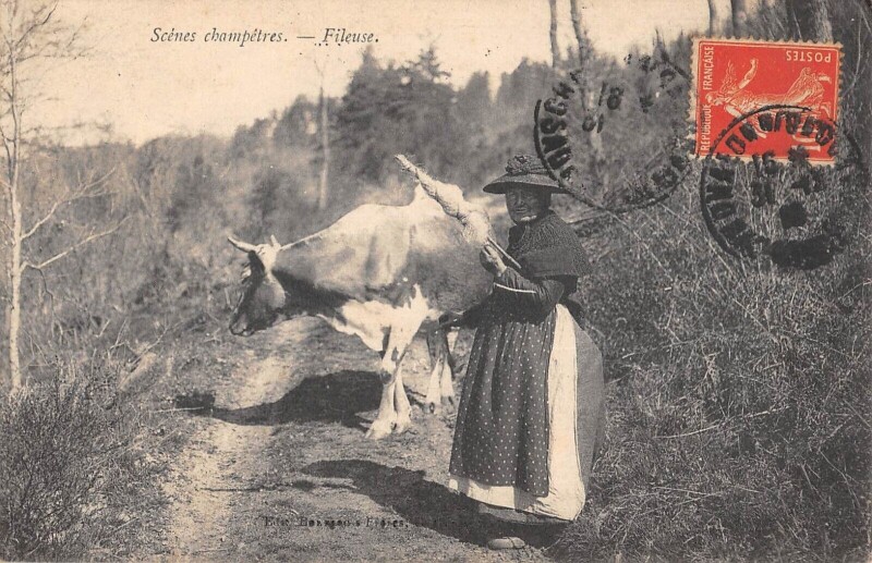 Carte postale ancienne Scenes Champetres - Fileuse - Vache