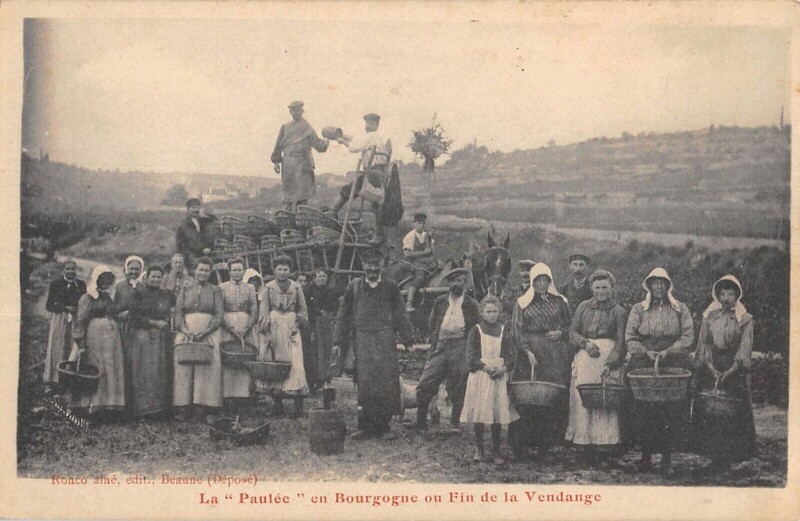 Carte postale ancienne La Paulee - En Bourgogne Ou Fin De Vendange