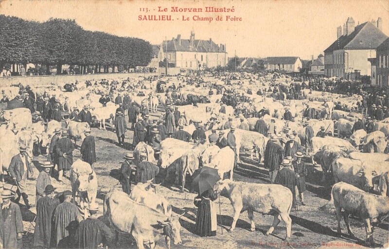 Carte postale ancienne Saulieu - Le Champ De Foire à Saulieu