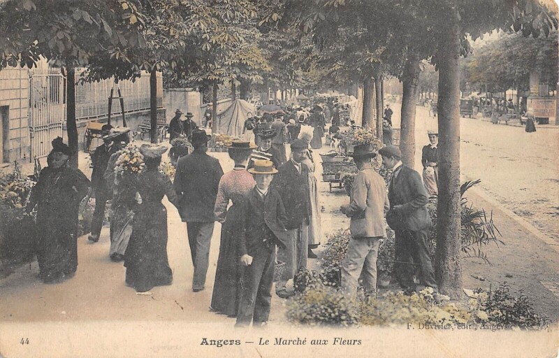 Carte postale ancienne Angers - Le Marche Aux Fleurs à Angers