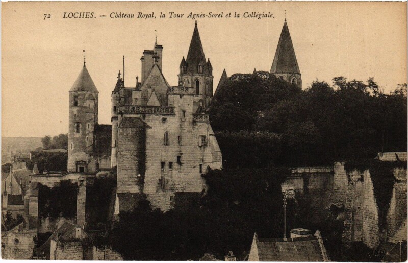 Carte postale ancienne Loches Chateau Royal à Loches