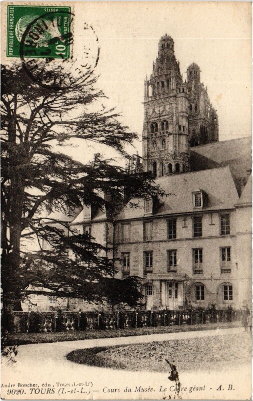 Carte postale ancienne Tours Cours de Musee Cedre geant à Tours