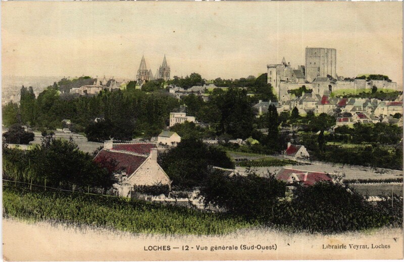 Carte postale ancienne Loches vue generale à Loches