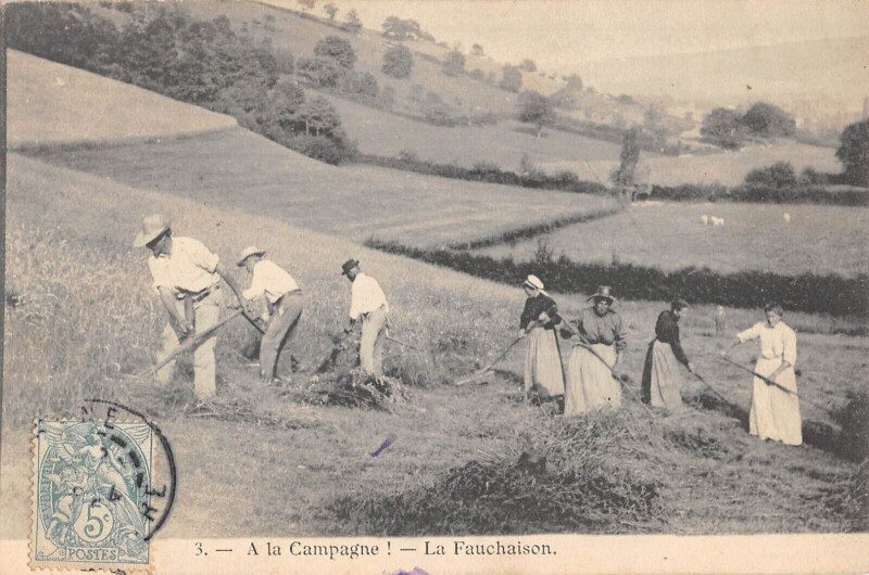Carte postale ancienne A La Campagne - La Fauchaison