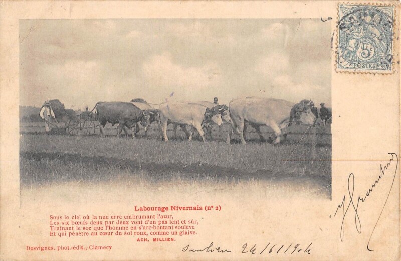 Carte postale ancienne Labourage Nivernais