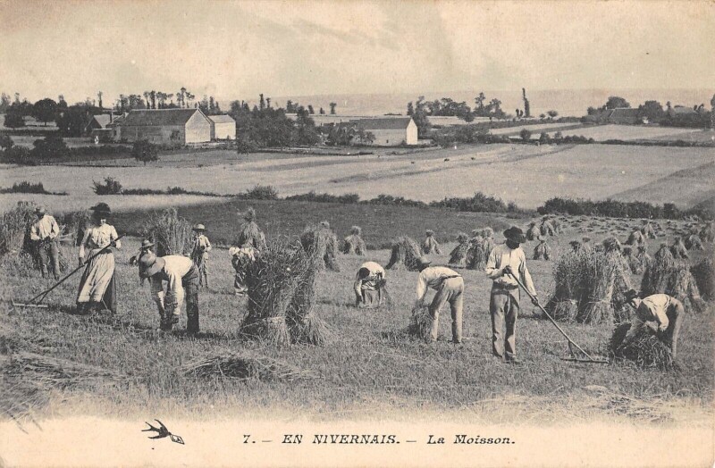 Carte postale ancienne En Nivernais - La Moisson