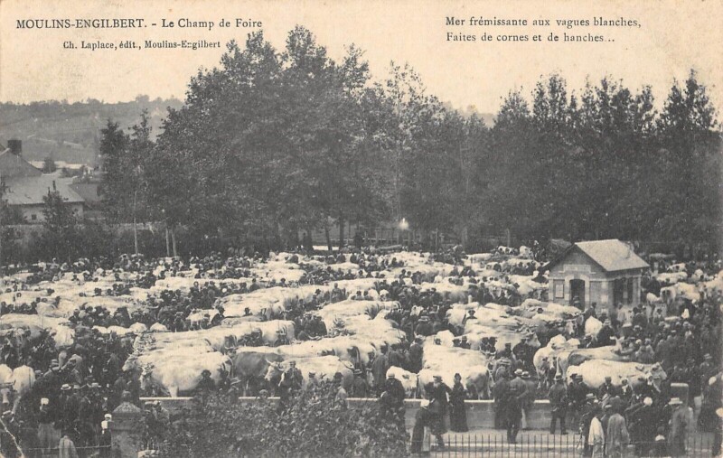 Carte postale ancienne Moulins Engilbert - Le Champ De Foire à Moulins-Engilbert