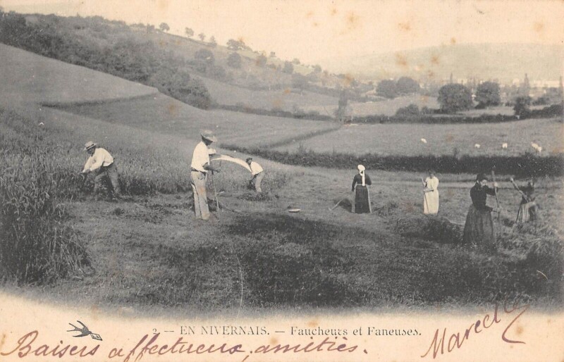 Carte postale ancienne En Nivernais - Faucheurs Et Faneuses