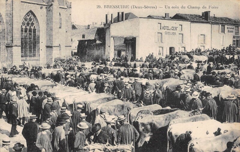 Carte postale ancienne Bressuire - Un Coin Du Champ De Foire à Bressuire