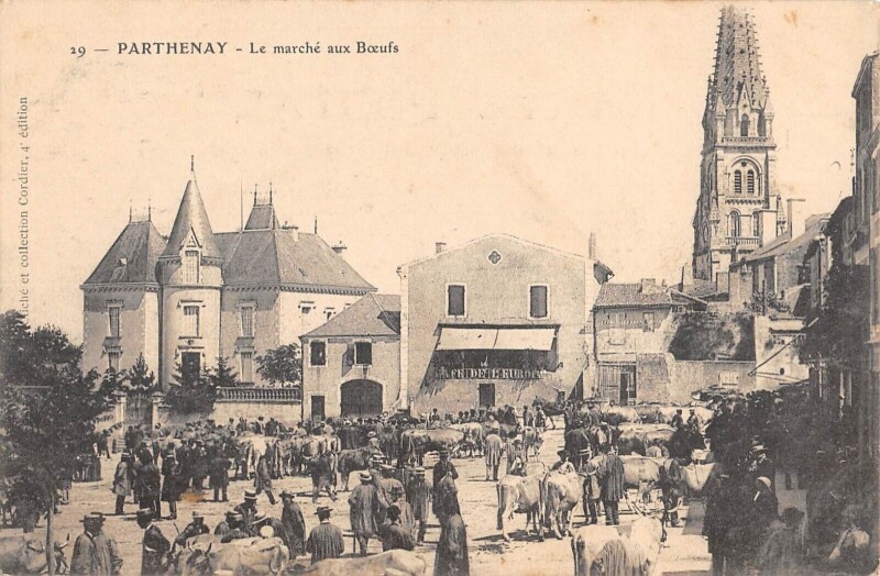 Carte postale ancienne Parthenay - Le Marche Aux Boeufs à Parthenay