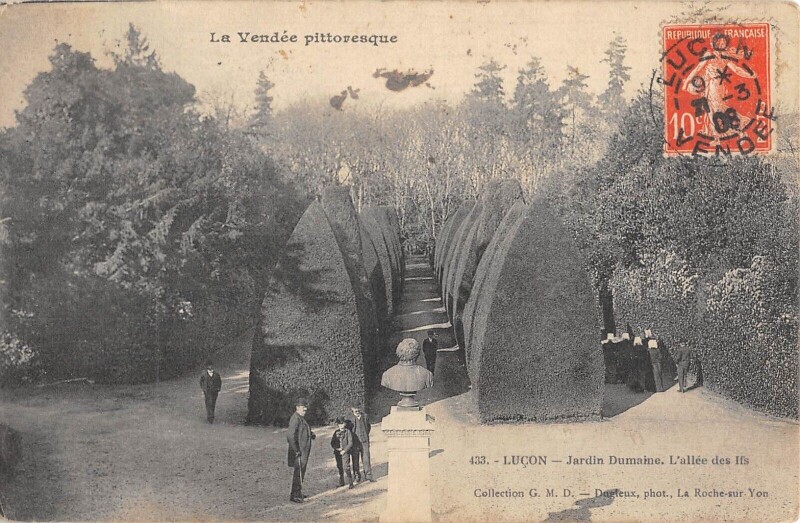 Carte postale ancienne Lucon - Jardin Dumaine - Allee Des Ifs