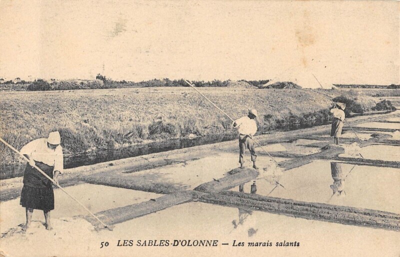 Carte postale ancienne Les Sables D'Olonne - Les Marais Salants aux Sables-d'Olonne