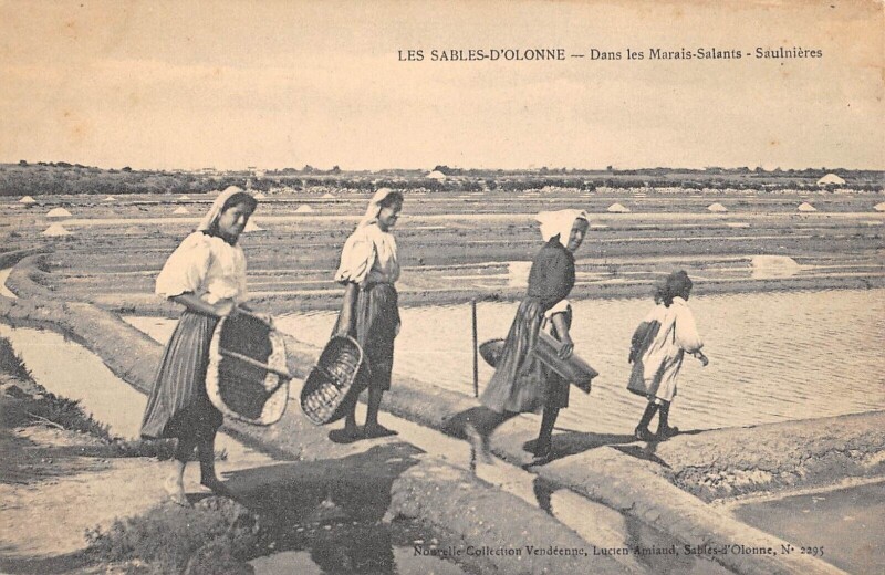 Carte postale ancienne Les Sables D'Olonne - Sans Les Marais Salants - Saulnieres aux Sables-d'Olonne