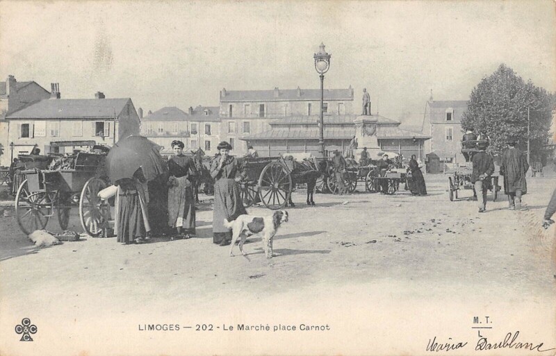 Carte postale ancienne Limoges - Le Marche Place Carnot à Limoges