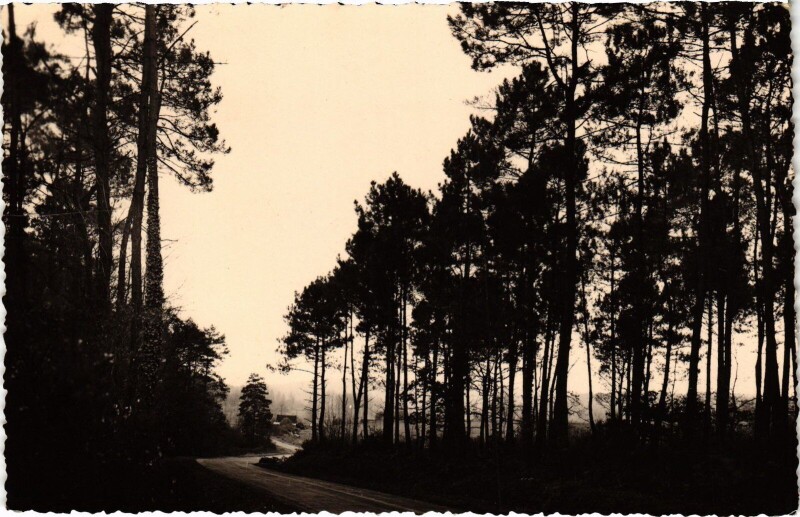 Carte postale ancienne Gizeux Les Environs - La Cave à Gizeux