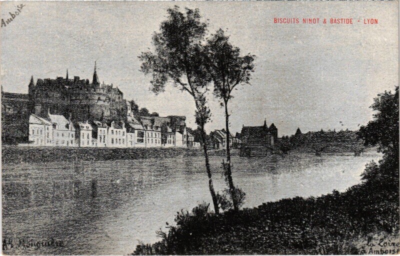Carte postale ancienne Amboise Vue Generale à Amboise