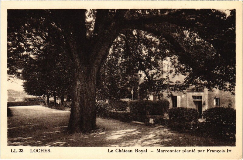 Carte postale ancienne Loches Chateau Royal à Loches